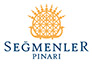 Seğmenler Pınarı